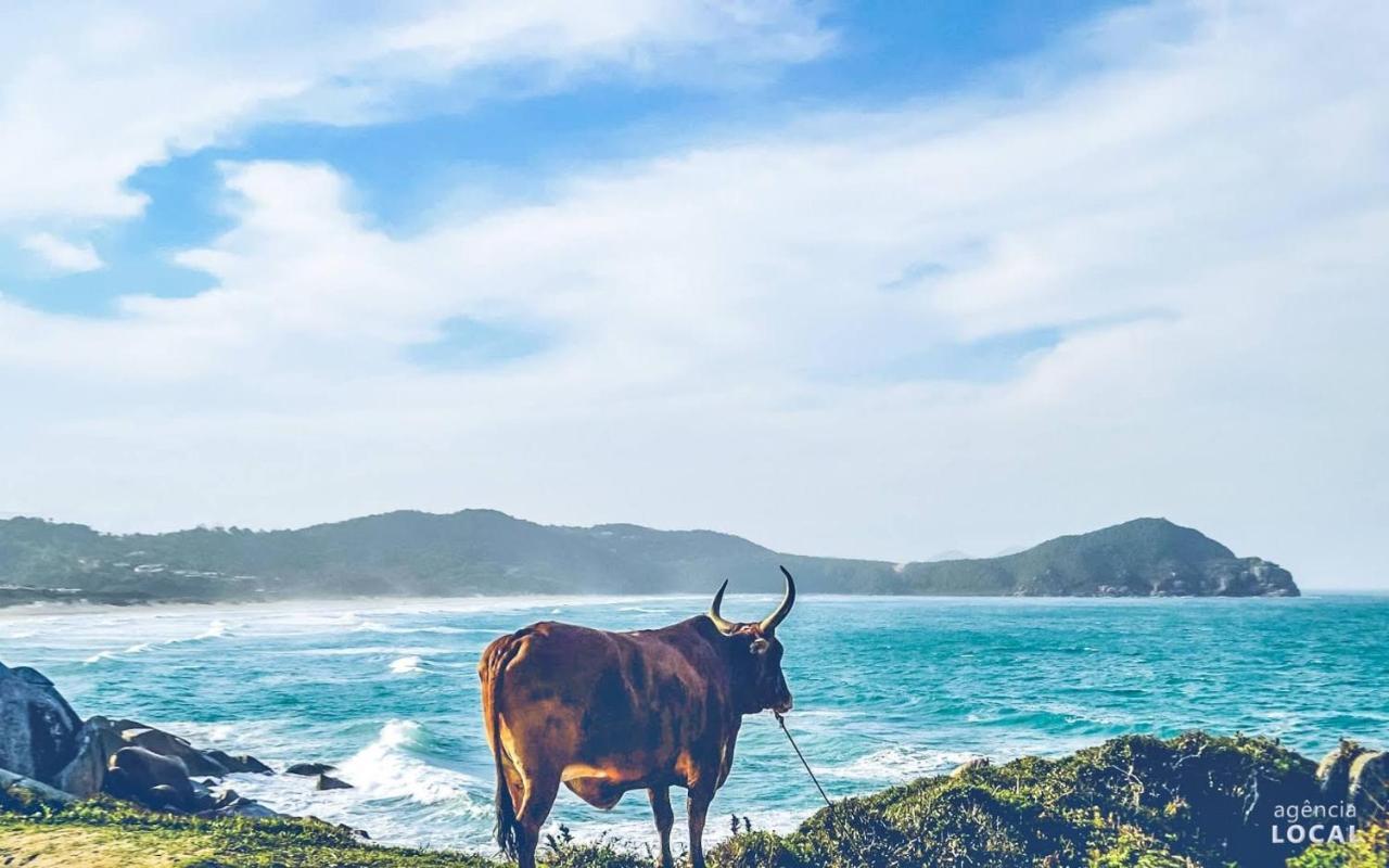 プライア・ド・ローザ Casas A 200 Metros Do Mar .ヴィラ エクステリア 写真